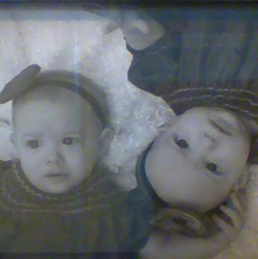 Meet your Posher, Scarlett